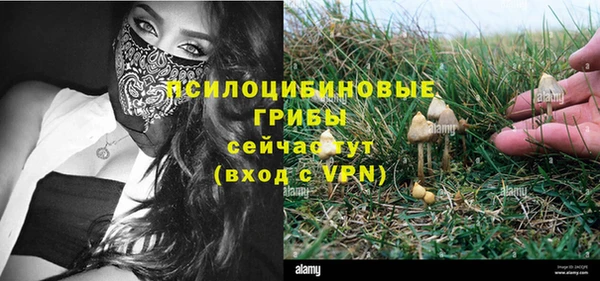 COCAINE Козловка