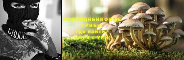 apvp Кодинск