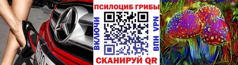 Псилоцибиновые грибы Magic Shrooms  Купить где  Буй 